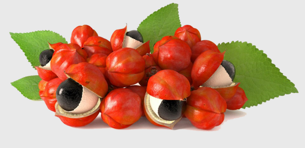Guarana