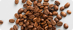 Koffein