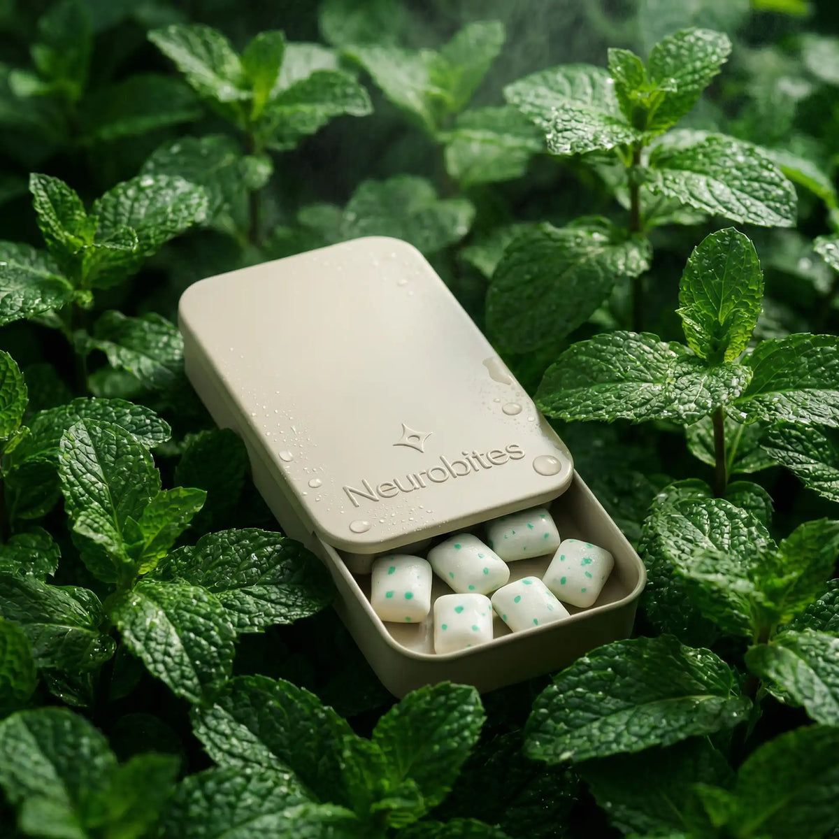 Neurobites Refill Case – Minimalistisches Case für deine Focus Gums